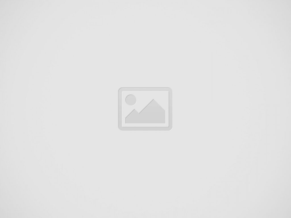 Proin at ante fermentum