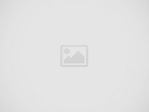 Proin at ante fermentum